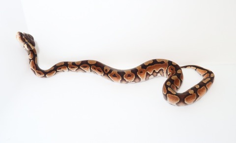 20241205145638_IMG_5129~2