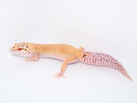 20231005161917_IMG_2795~2