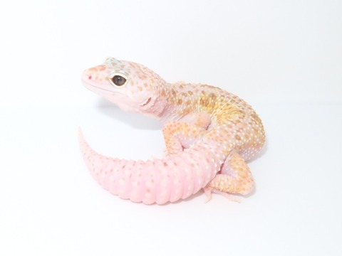 20231005162458_IMG_2822~2