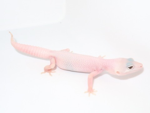 20230214193108_IMG_5375~2