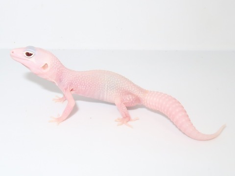 20230214193156_IMG_5380~2