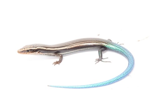 20220213135539_IMG_1909~2