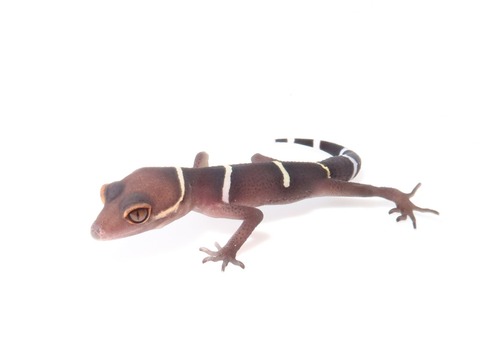 20220213133639_IMG_1892~2