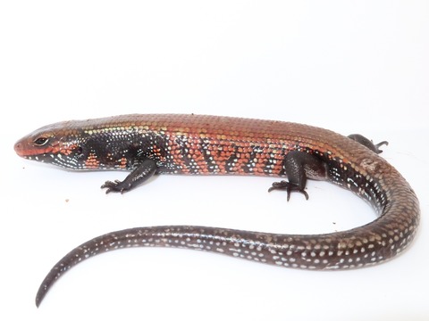 20220213135129_IMG_1896~2