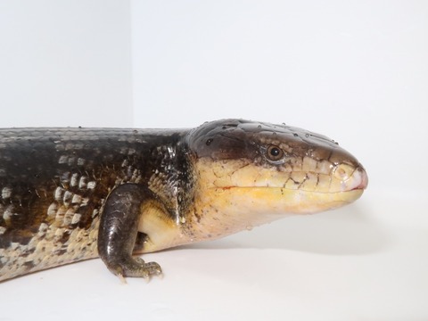 20230116183737_IMG_5087~2