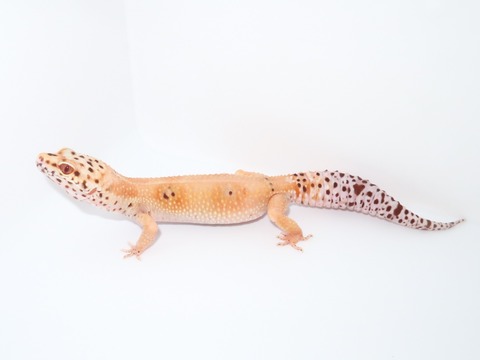 20231005161950_IMG_2798~2