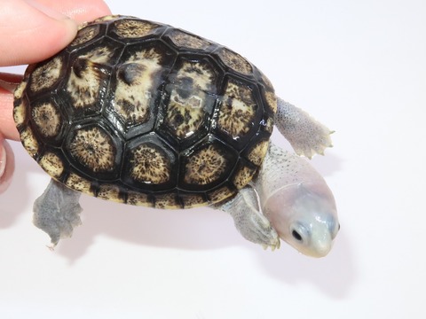 20220213141245_IMG_1920~2