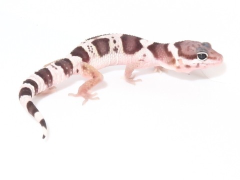 20230508144745_IMG_0607~2