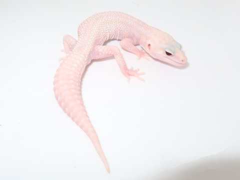 20230508144827_IMG_0611~2