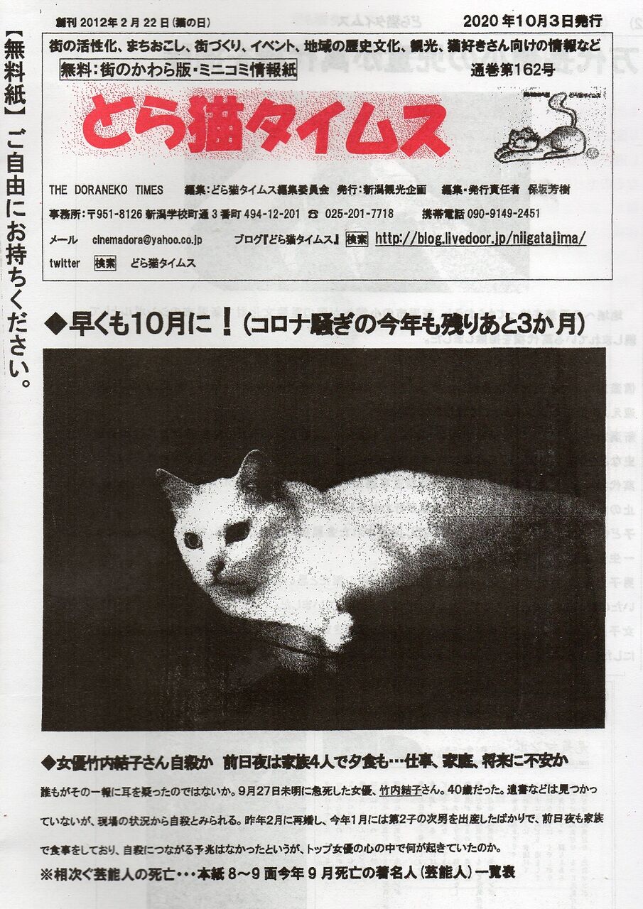お待ちどうさま どら猫タイムス最新号 どら猫タイムス お待ちどうさま どら猫タイムス最新号 どら猫タイムス