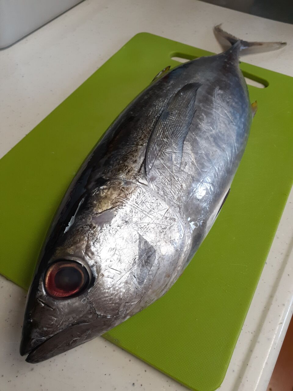 新潟海洋高校 能水商店 新潟海洋高校 能水商店