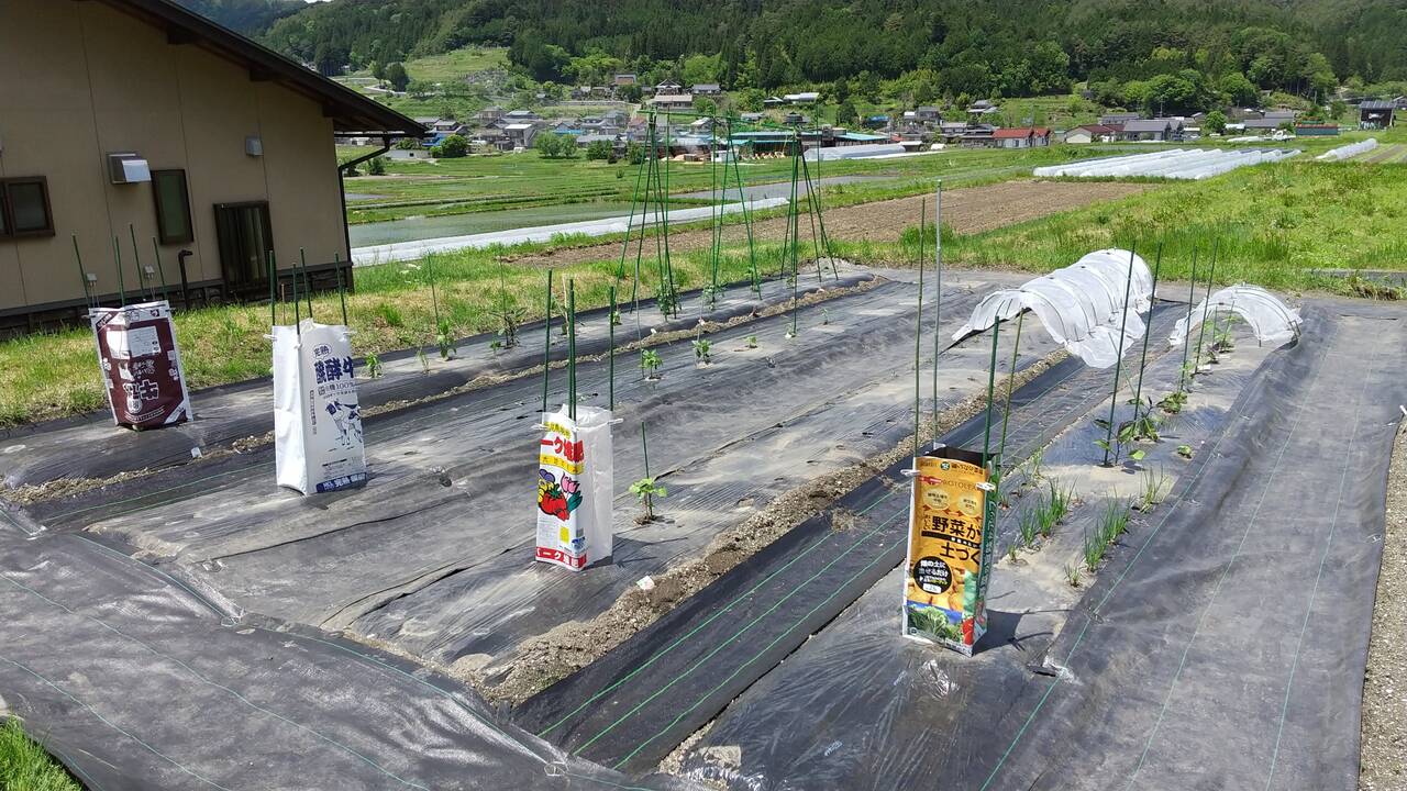 畑とツバメさん クラインガルテン新野高原のブログ