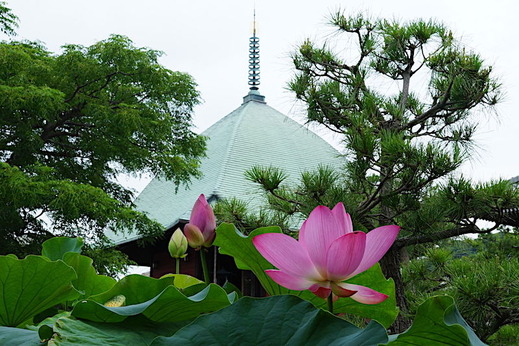 170717�ܳл��ϥ�