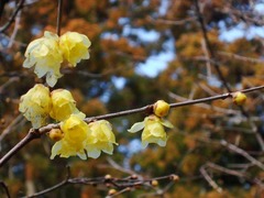 120212���һ������Х�