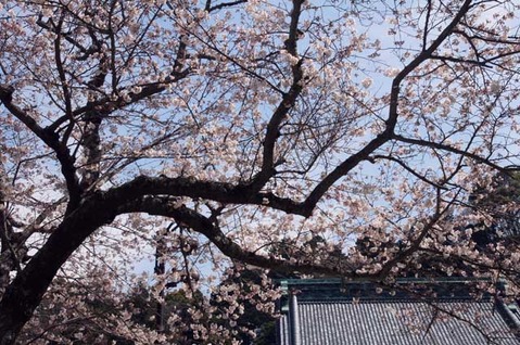 110402̯�ܻ�������2