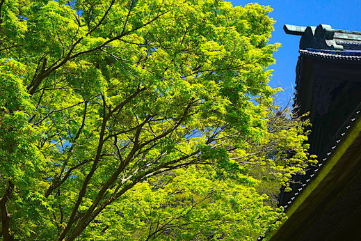 190415̯�ܻ�����