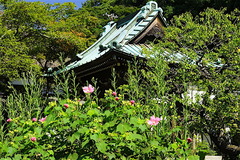 160901��¢���ե襦