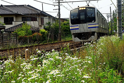 2006���ܲ����̳����ն�