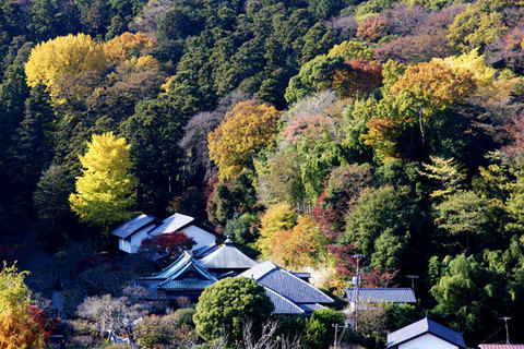 081129�߳л�������Ļ�����