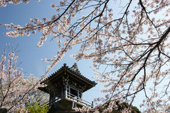 080406�����Ѳ������飱