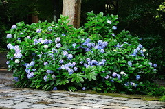 150710̯�ܻ���������