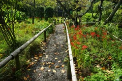 100925�Ѿ����ҥ���Х�2