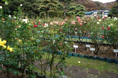 111022ʸ�شۥХ�3