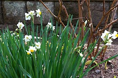 240113���һ���������