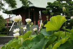 090801�ܳл��ϥ���