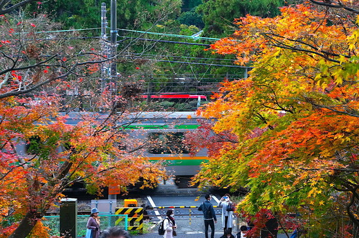 221203�߳л�����5