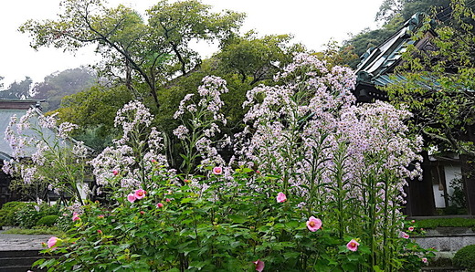 201017��¢��������1