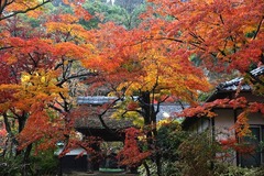 141201�߳л�����2