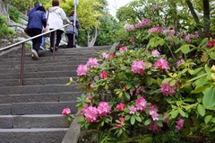 120425Ĺë�����㥯�ʥ�