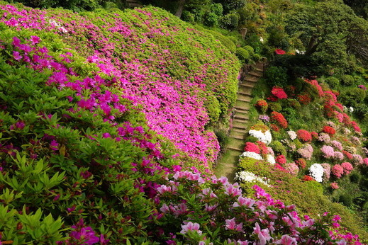 160425ʩ�Ի��ĥĥ�1