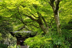 150412�߳л�����4