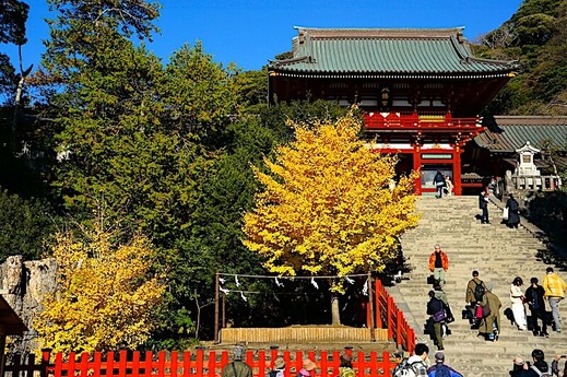 231204�ᲬȬȨ�ܹ���1