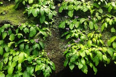 160609���һ����勵�Х�