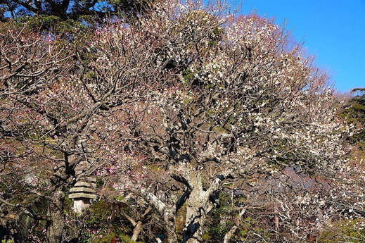 230129Ĺë������1