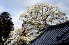 160321�߳л��ϥ�����2