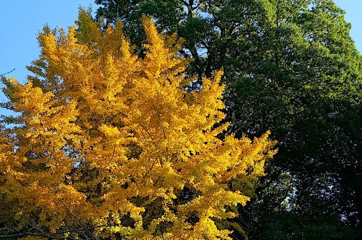 231127�߳л�����3