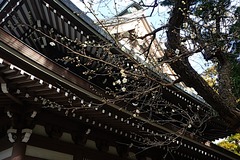 240122±ß³Ð»û¥¦¥á2