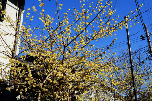 130204�̳���1