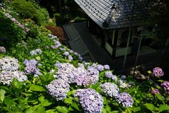 140702Ĺë����������2