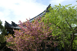 080419�ܳл��䥨������