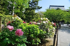 150426��Ĺ���ܥ���2