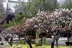 100306�߳л�����