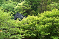 160427̯�ܻ�����2