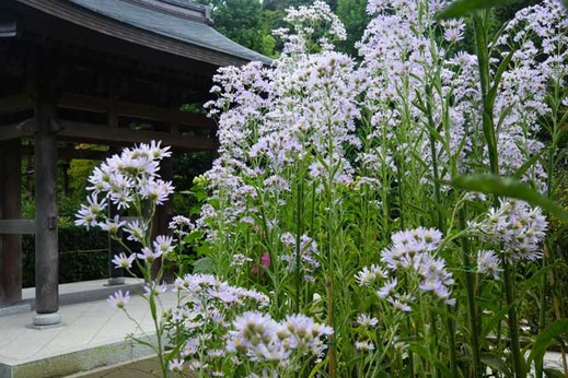 131010��¢��������2