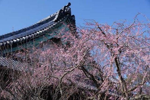 120401�ܳл������쥶����