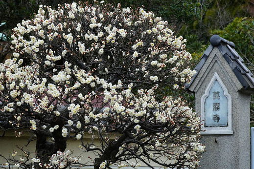 130215�Ѿ�������